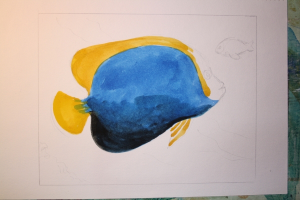 Creation of angelfish: Step 2